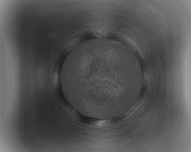 X0000102460130200808151415