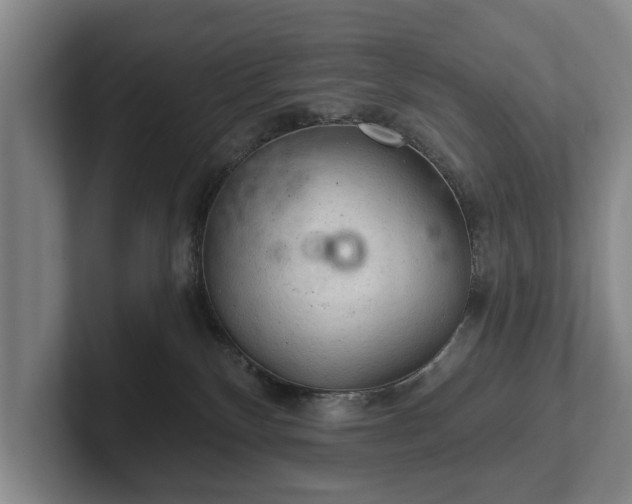 X0000102460136200808151415