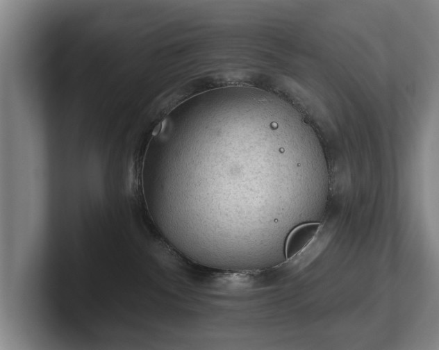 X0000102460140200808151415