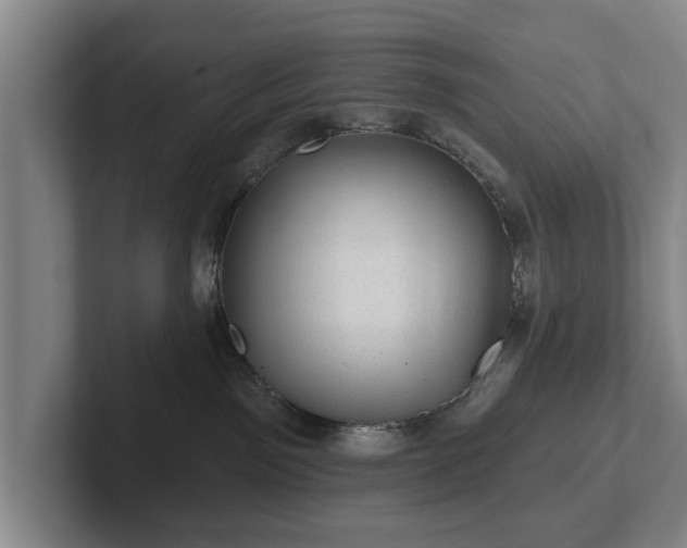 X0000102460141200808151415