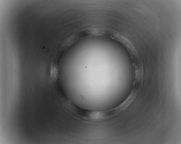 X0000102460142200808151415