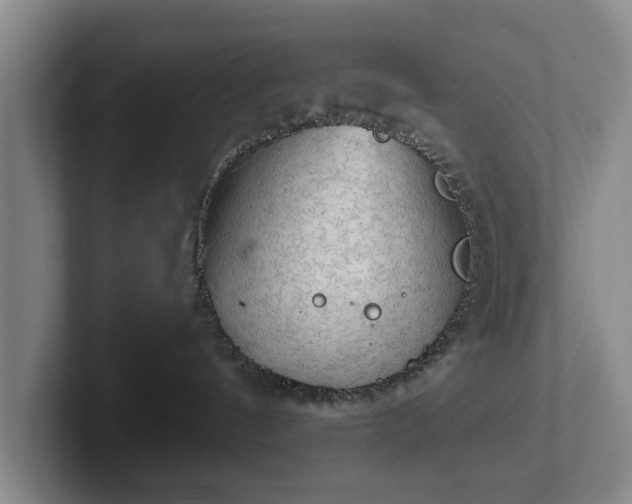 X0000102460144200808151415