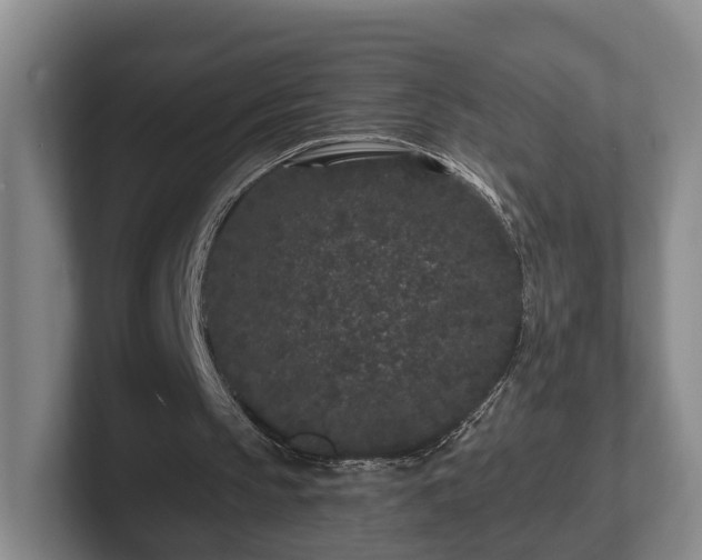 X0000102460145200808151414