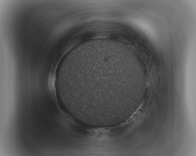 X0000102460146200808151414