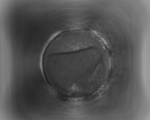 X0000102460147200808151414