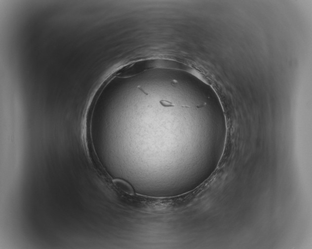 X0000102460148200808151414