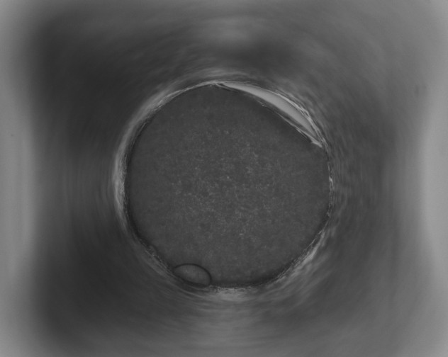 X0000102460149200808151414