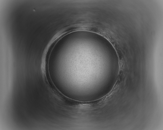 X0000102460150200808151414