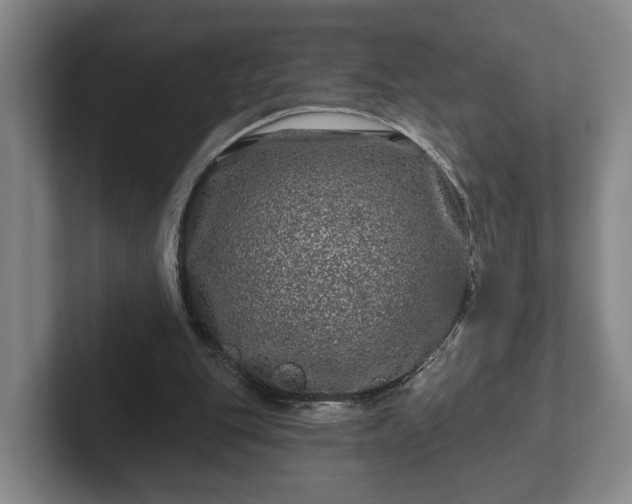 X0000102460151200808151414