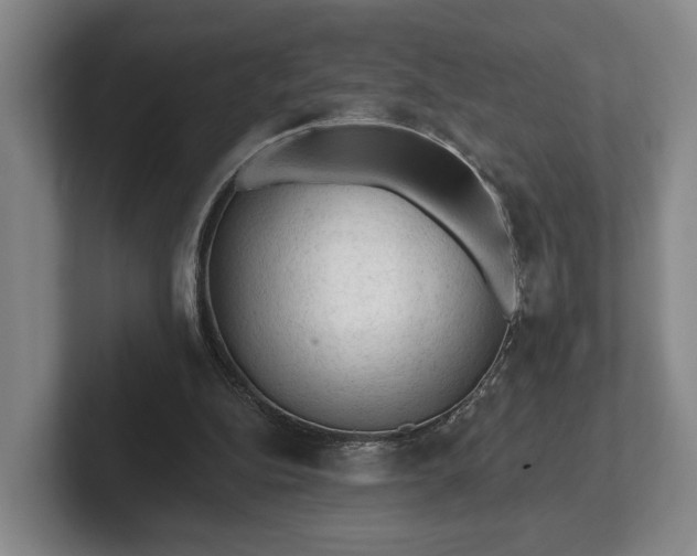 X0000102460152200808151414