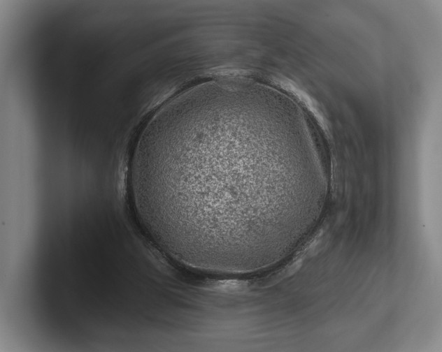 X0000102460153200808151414