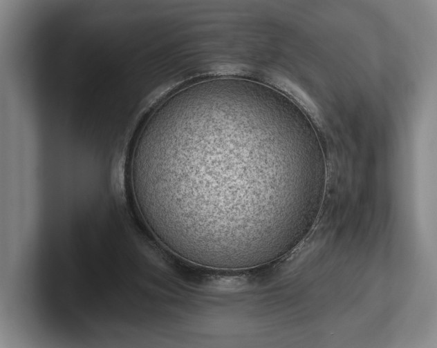 X0000102460155200808151414