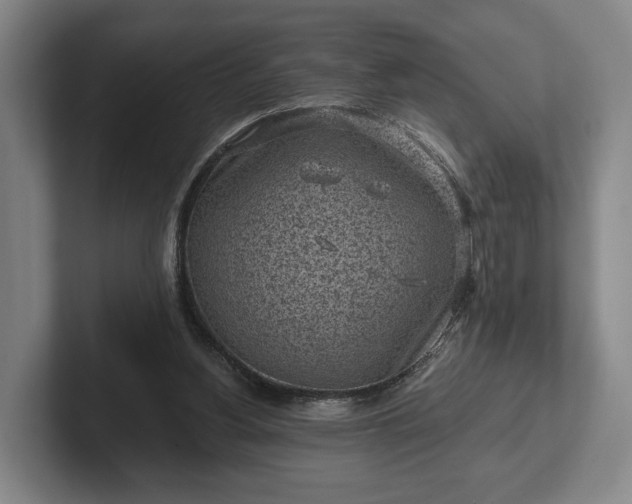 X0000102460156200808151415