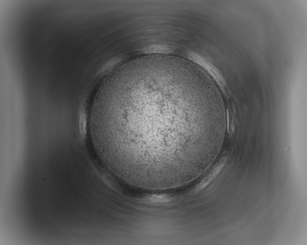 X0000102460157200808151415