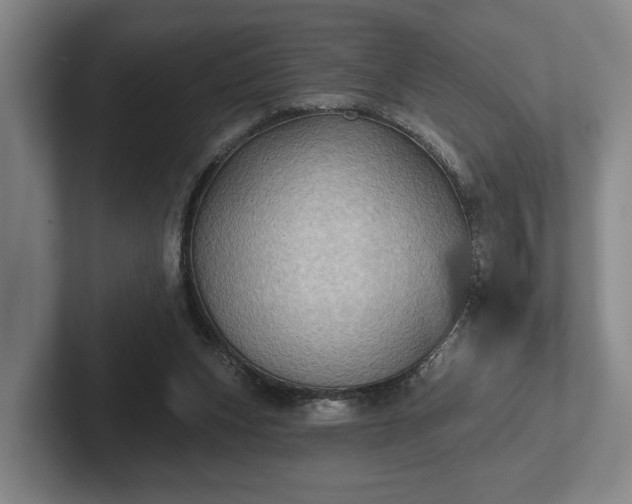 X0000102460159200808151415