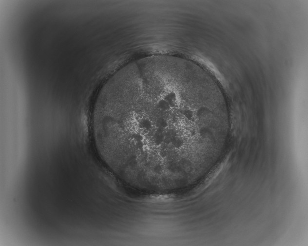 X0000102460161200808151415