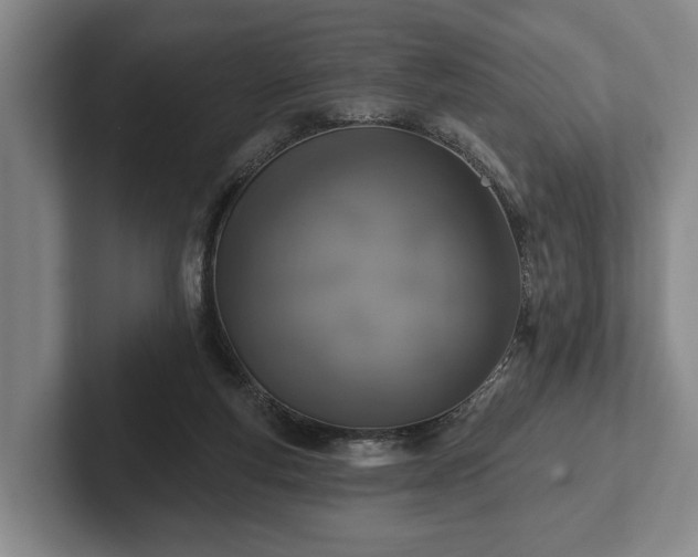 X0000102460163200808151415