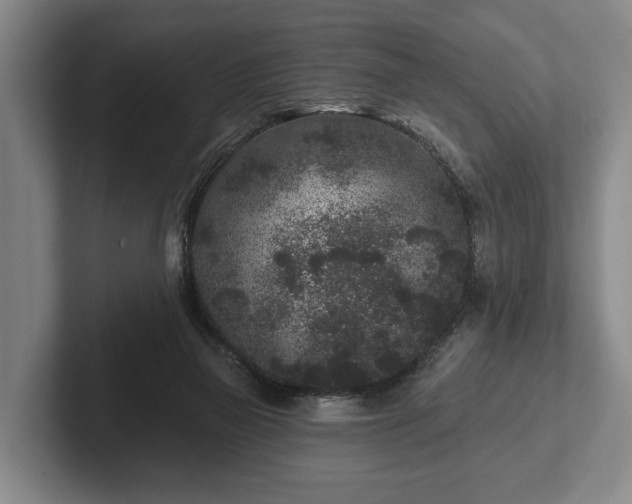 X0000102460165200808151415