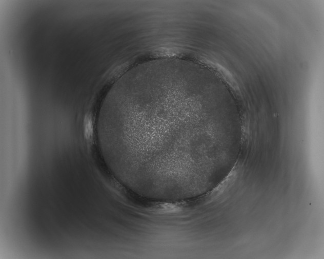 X0000102460166200808151415