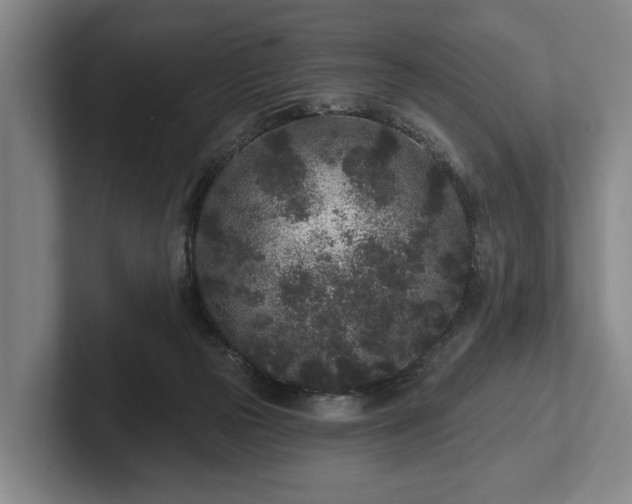 X0000102460169200808151415