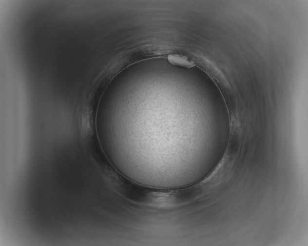 X0000102460170200808151415