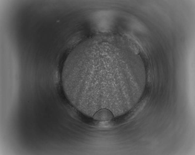 X0000102460173200808151415