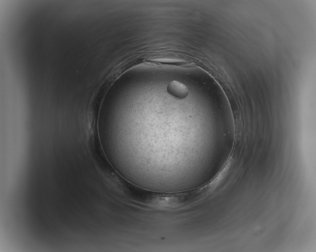 X0000102460174200808151415