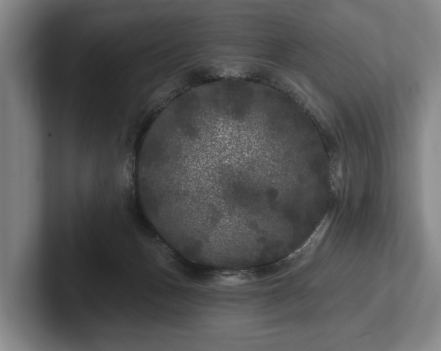 X0000102460175200808151415