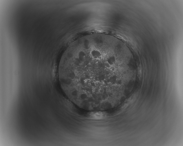 X0000102460181200808151415