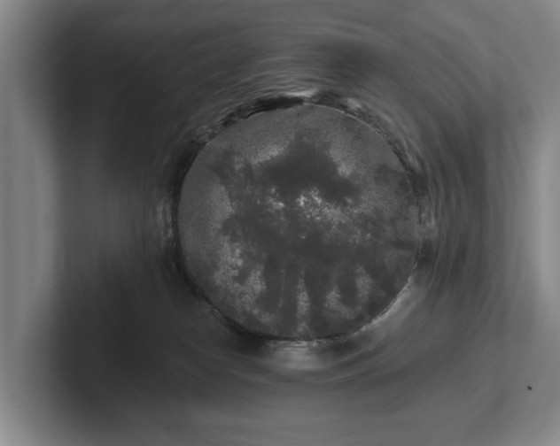 X0000102460182200808151415