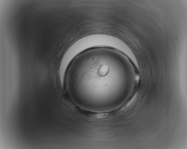 X0000102460184200808151415