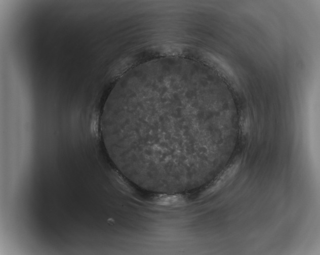 X0000102460185200808151415