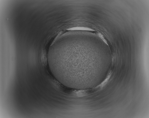 X0000102460186200808151415