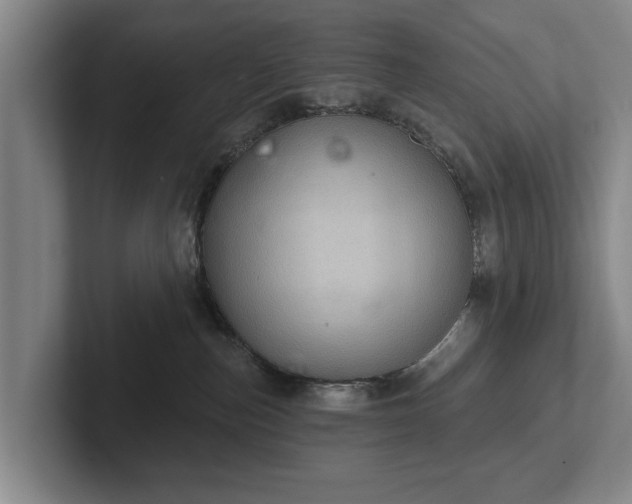 X0000102460187200808151415