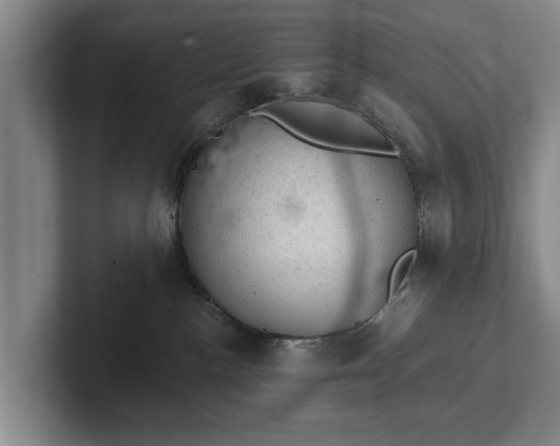 X0000102460188200808151415