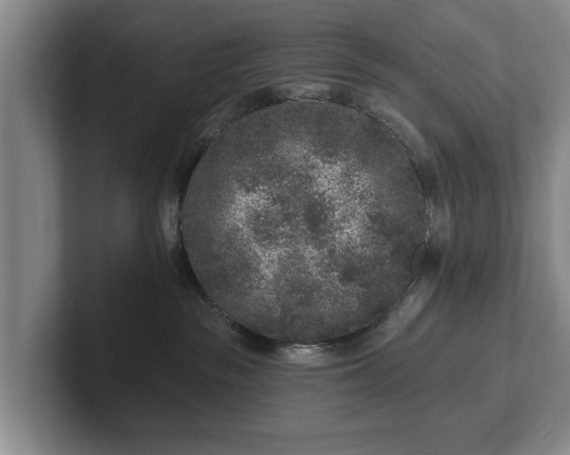 X0000102460189200808151415