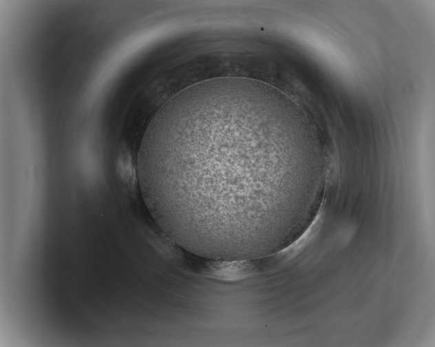 X0000102460191200808151415