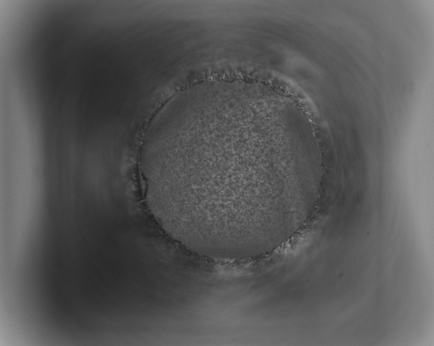 X0000102460192200808151415