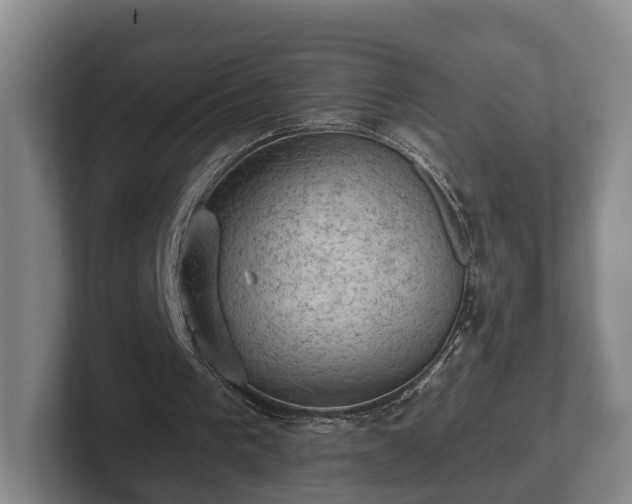 X0000102460193200808151414