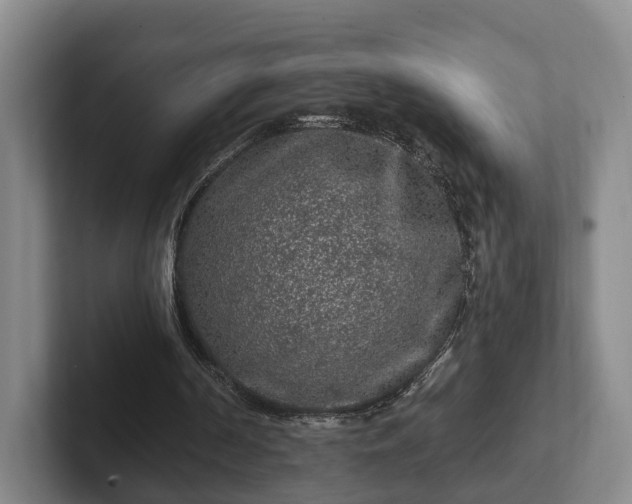 X0000102460194200808151414