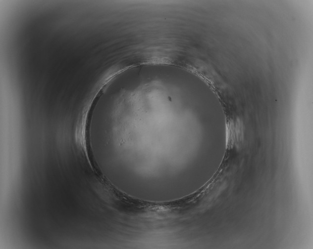 X0000102460195200808151414