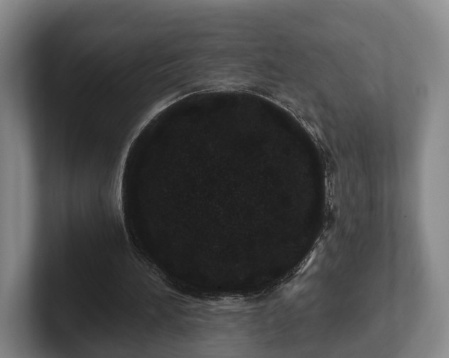 X0000102460196200808151414