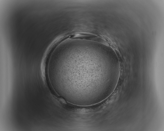 X0000102460197200808151414