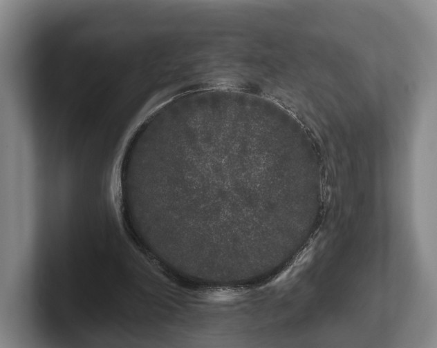 X0000102460198200808151414