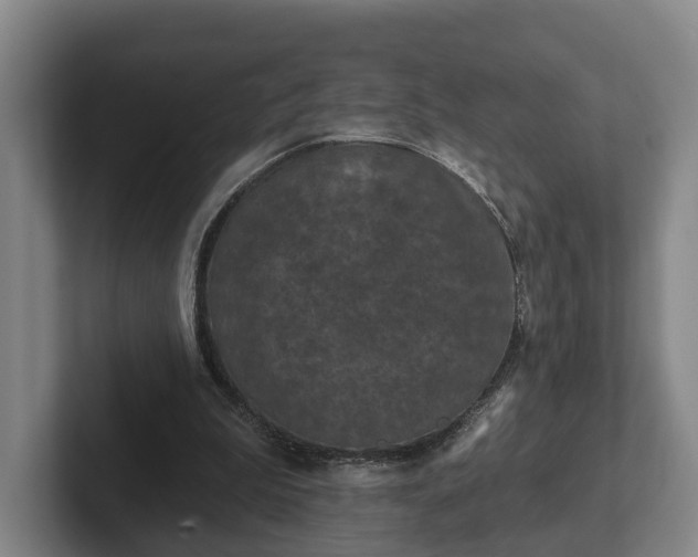 X0000102460199200808151414