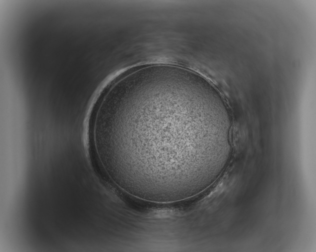 X0000102460200200808151414