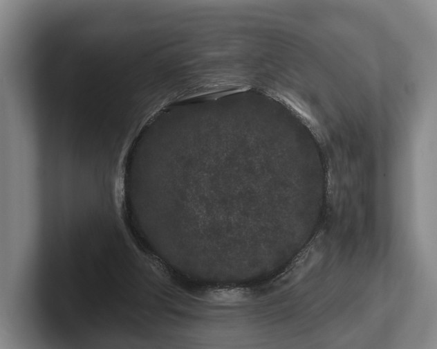 X0000102460202200808151414