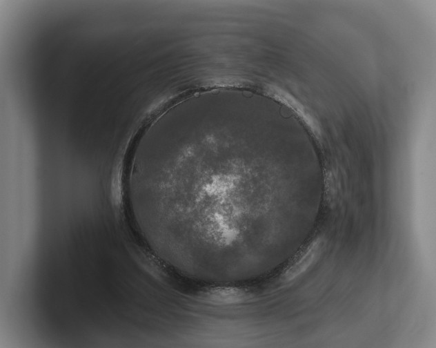 X0000102460203200808151414