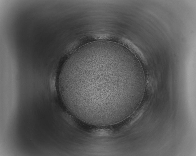 X0000102460209200808151414