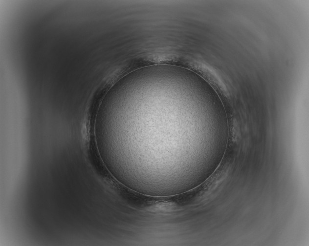 X0000102460210200808151414